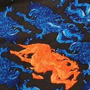 LuLaRoe Tall & Curvy TC Legging Blue Black Orange Mystical Mythical Dragon Lion
